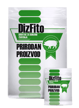Dizfito