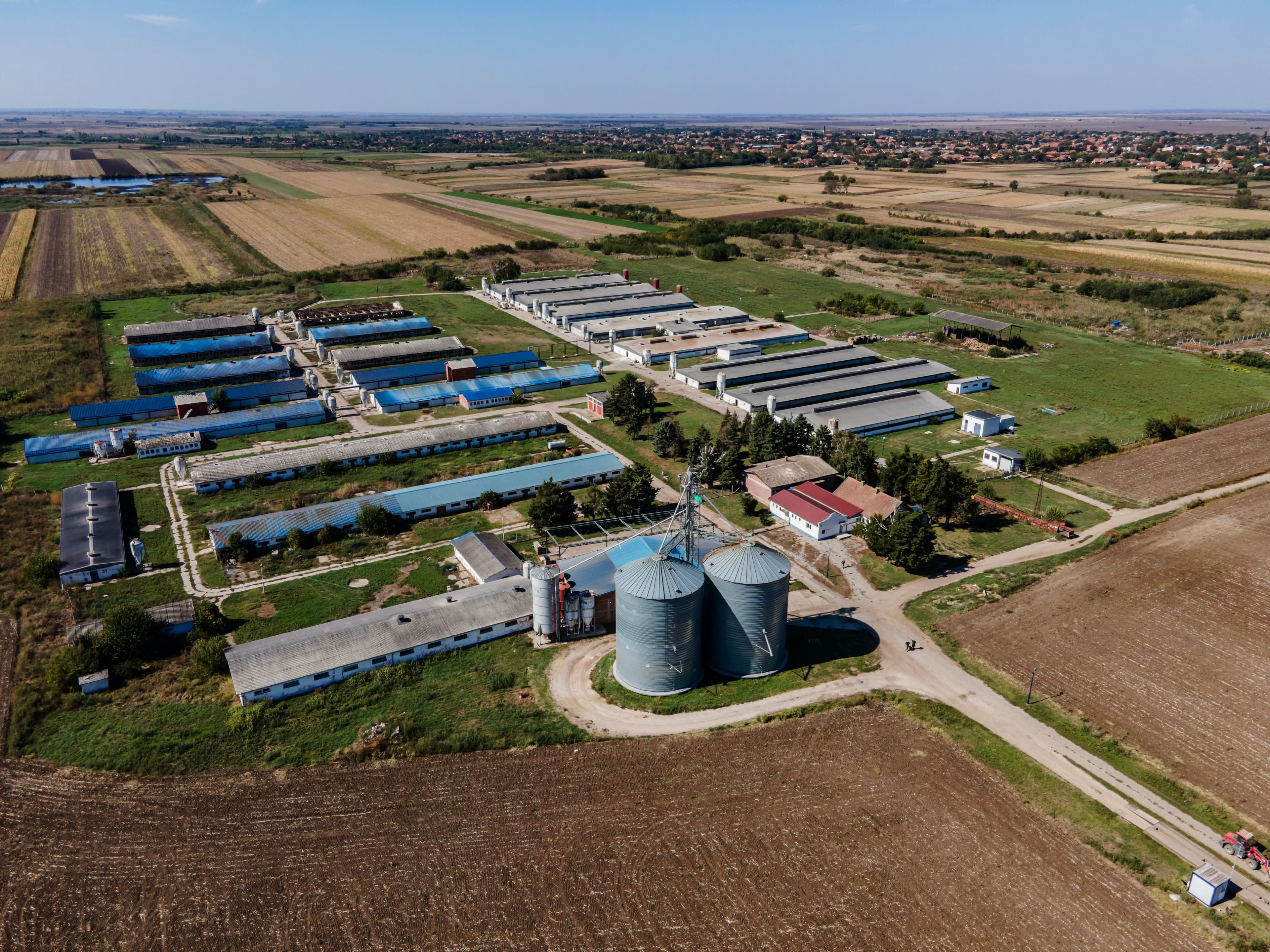 bioesen